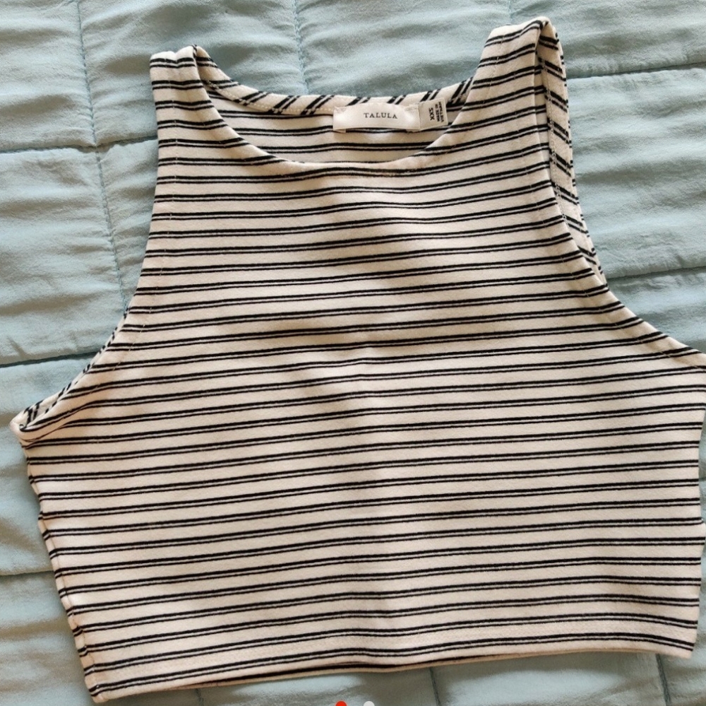 Aritzia crop top